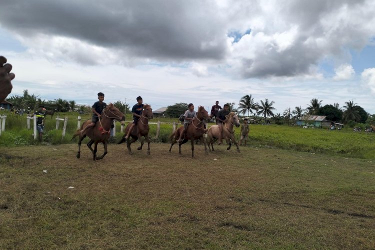 Lomba Pacuan Kuda Turut Serta Meriahkan Hut Tahun Kota Merauke